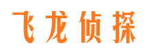 黄石港市私家侦探